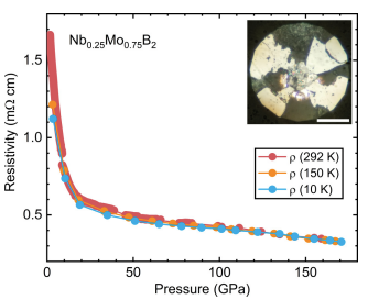 Niobium substitution suppresses the superconducting critical temperature of pressurized MoB2