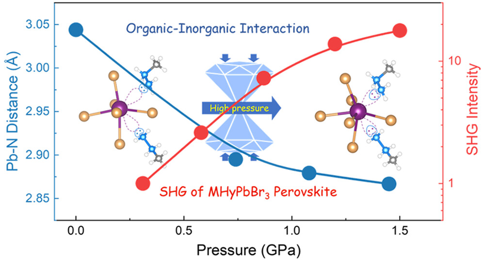 Pressure-Modulated Anomalous Organic–Inorganic Interactions Enhance Structural Distortion and Second-Harmonic Generation in MHyPbBr3 Perovskite