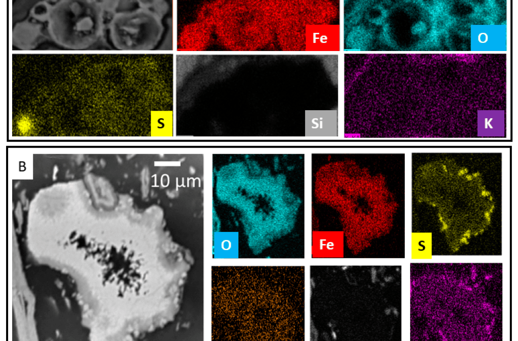 Complex Speciation and Distribution of Iron, Sulfur, and Trace Metals in Coal Mine Soils Reflect Grain- and Sub-Grain-Scale Heterogeneity during Pyrite Oxidative Dissolution