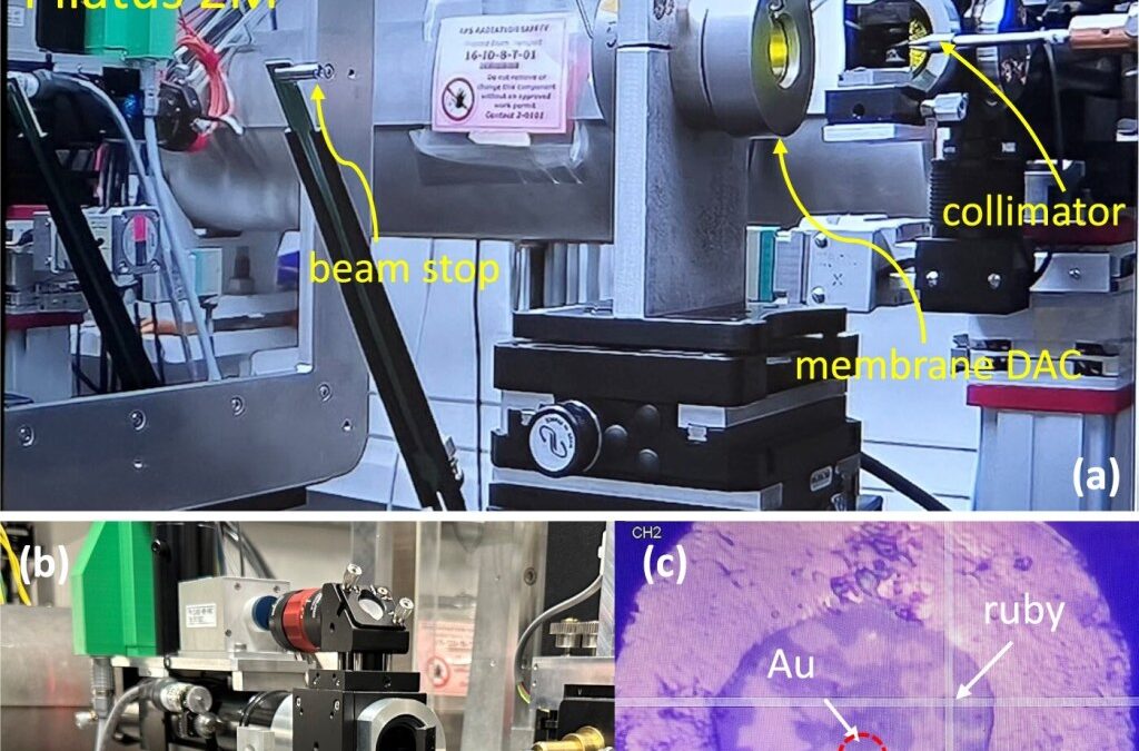 Simultaneous compression of NaCl, Au, and ruby: toward mutually consistent pressure scales