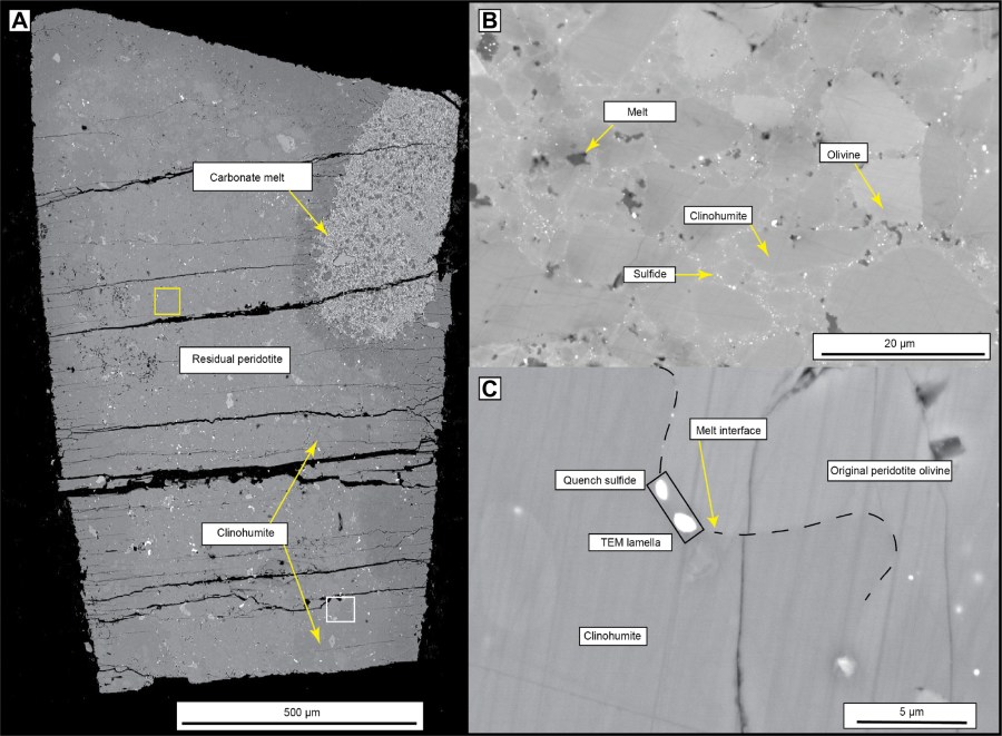 Incipient carbonate melting drives metal and sulfur mobilization in the mantle