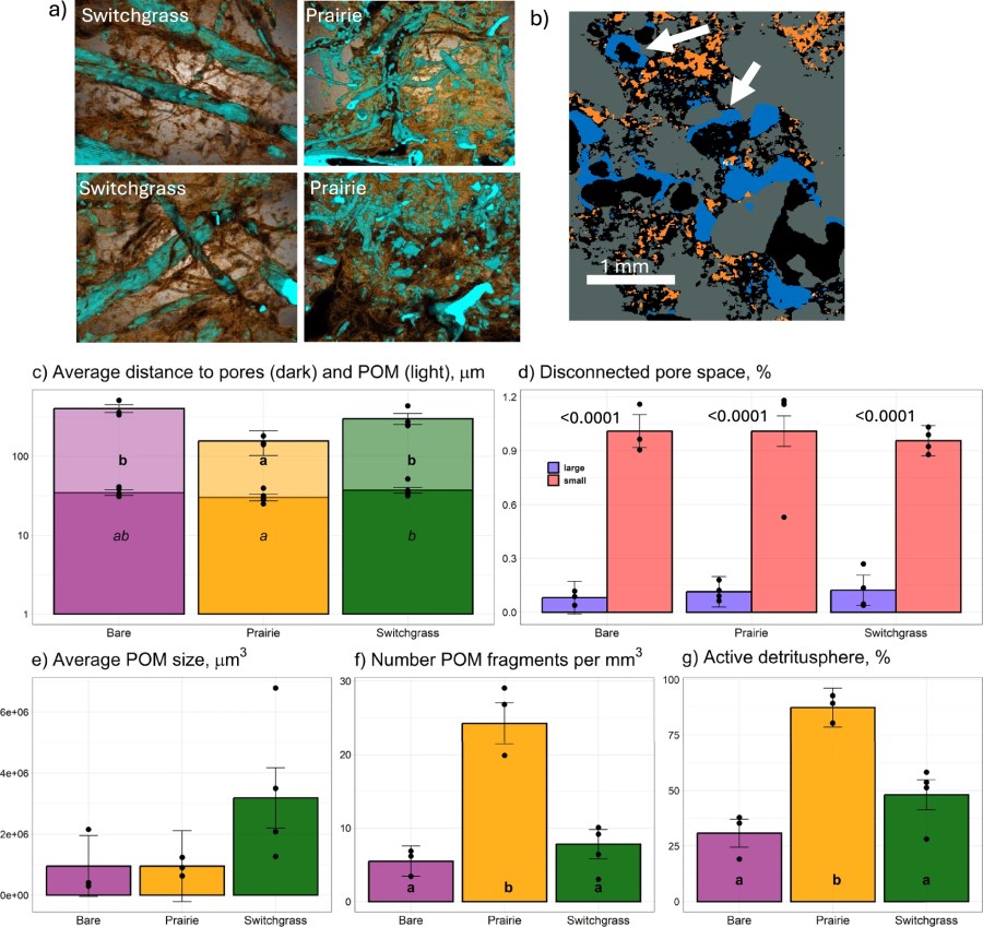 Composition and metabolism of microbial communities in soil pores