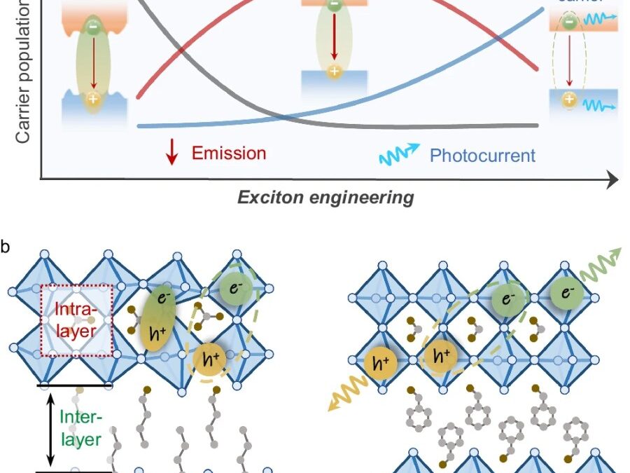 Exciton engineering of 2D Ruddlesden–Popper perovskites by synergistically tuning the intra and interlayer structures