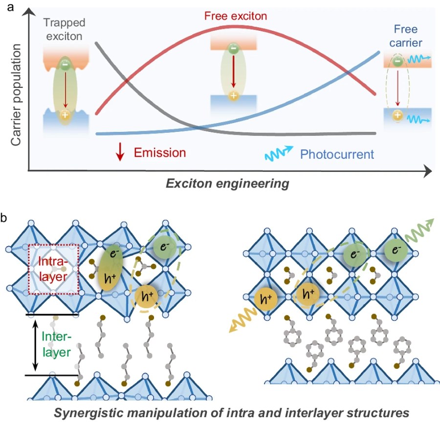 Exciton engineering of 2D Ruddlesden–Popper perovskites by synergistically tuning the intra and interlayer structures