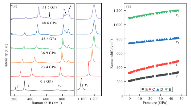 High-Pressure Behavior of Ferromagnesite (Mg0.81Fe0.19)CO3 by Synchrotron X-Ray Diffraction and Raman Spectroscopy up to 53 GPa