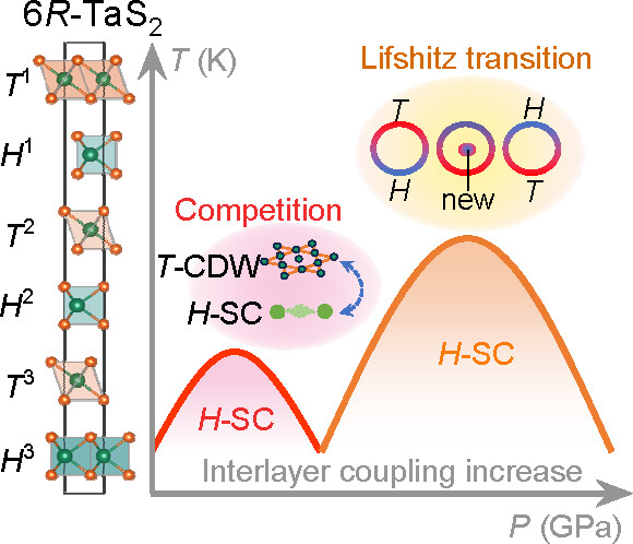 Double Superconducting Dome of Quasi Two-Dimensional TaS2 in Non-Centrosymmetric van der Waals Heterostructure