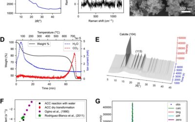 Real-Time Atomic-Scale Structural Analysis Resolves the Amorphous to Crystalline CaCO3 Mechanism Controversy