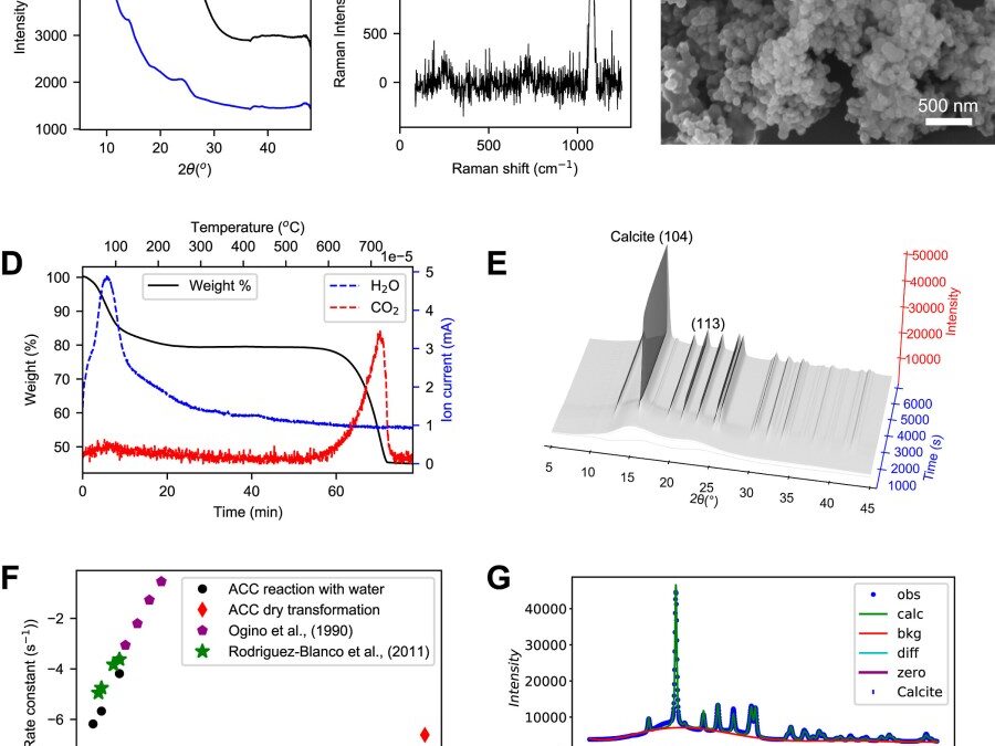 Real-Time Atomic-Scale Structural Analysis Resolves the Amorphous to Crystalline CaCO3 Mechanism Controversy