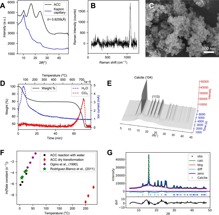 Real-Time Atomic-Scale Structural Analysis Resolves the Amorphous to Crystalline CaCO3 Mechanism Controversy