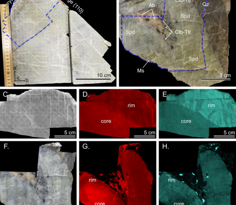 Trace element concentrations and chemical zoning of spodumene from magmatic and hydrothermal origins