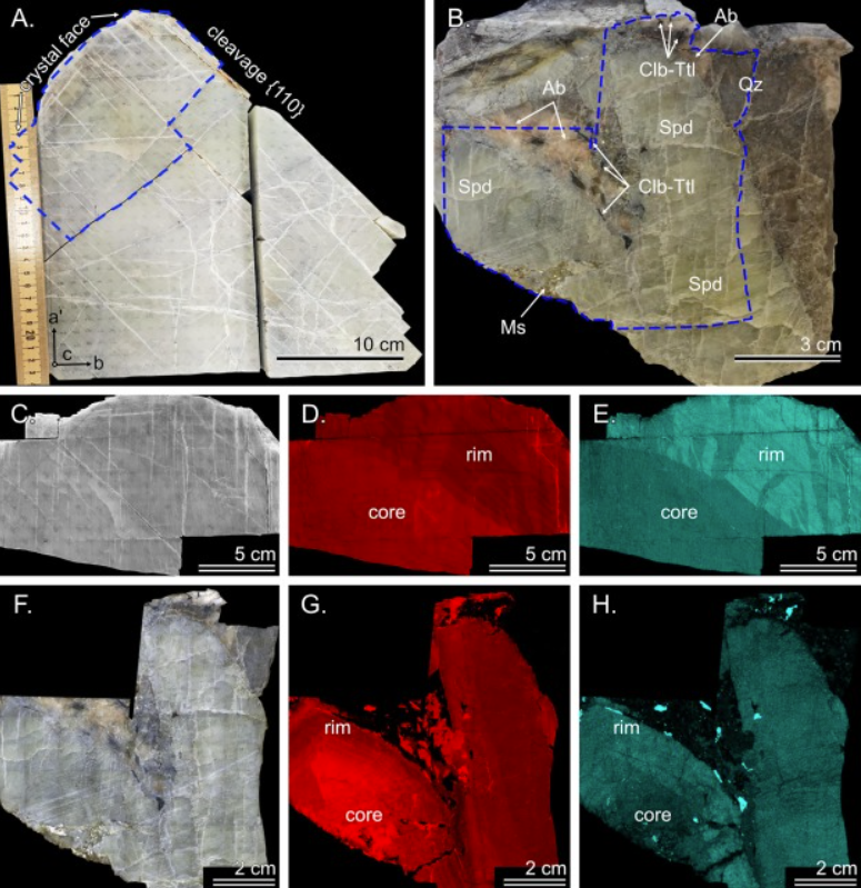 Trace element concentrations and chemical zoning of spodumene from magmatic and hydrothermal origins