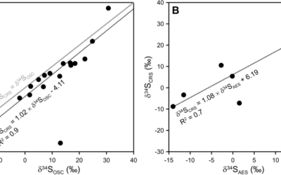 Sulfur isotopes from the Paleoproterozoic Francevillian Basin record multigenerational pyrite formation, not depositional conditions