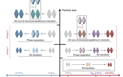 Identifying critical features of iron phosphate particle for lithium preference