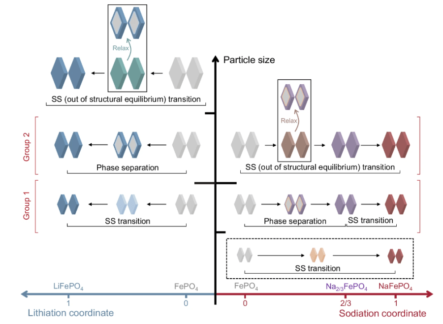 Identifying critical features of iron phosphate particle for lithium preference