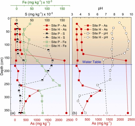 Sea−level rise and arsenic−rich soils: A toxic relationship