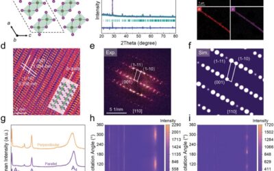 Above-Room-Temperature Ferroelectricity and Giant Second Harmonic Generation in 1D vdW NbOI3