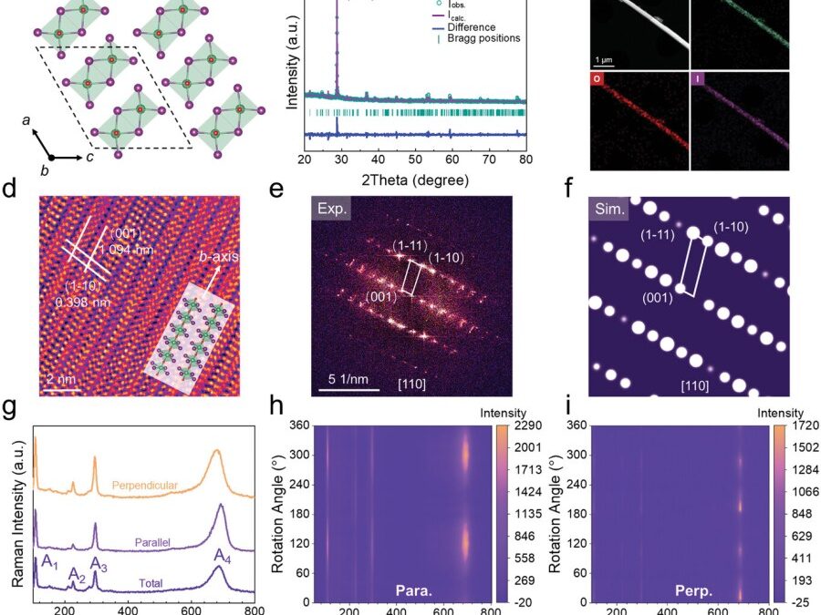 Above-Room-Temperature Ferroelectricity and Giant Second Harmonic Generation in 1D vdW NbOI3