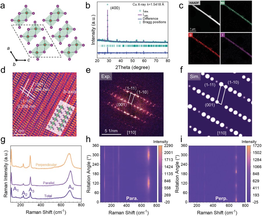 Above-Room-Temperature Ferroelectricity and Giant Second Harmonic Generation in 1D vdW NbOI3