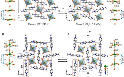 Pressure-induced shape and color changes and mechanical-stimulation-driven reverse transition in a one-dimensional hybrid halide