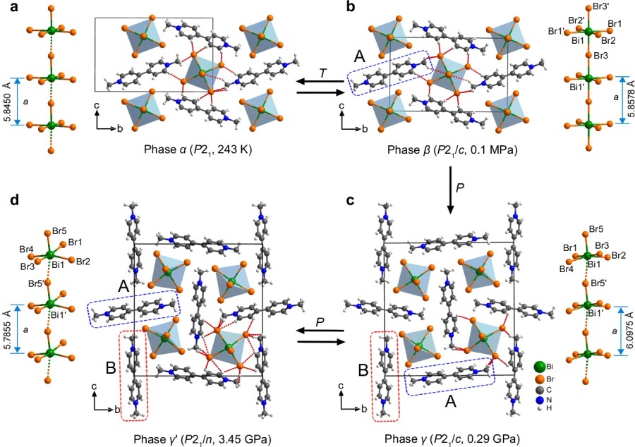 Pressure-induced shape and color changes and mechanical-stimulation-driven reverse transition in a one-dimensional hybrid halide