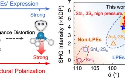 Quantifying Structural Polarization by Continuous Regulation of Lone-Pair Electron Expression in Molecular Crystals