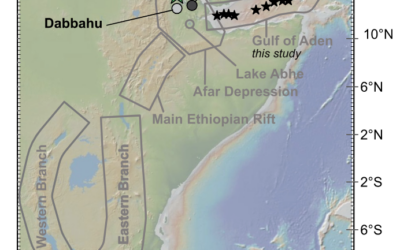 Volatiles and Redox Along the East African Rift