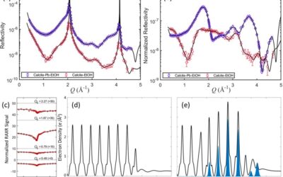 Dynamic Surface Incorporation of Pb2+ Ions at the Actively Dissolving Calcite (104) Surface