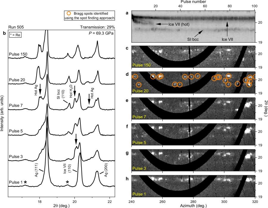 Phase transition kinetics of superionic H2O ice phases revealed by Megahertz X-ray free-electron laser-heating experiments