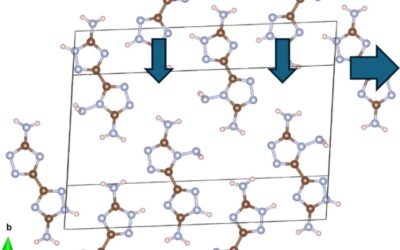 Structure, Bonding, and Vibrational Dynamics of a Triamine High Energy Density Material under Pressure