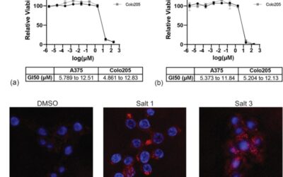 Synthesis, Optical Spectroscopy, and Laser and Biomedical Imaging Application Potential of 2,4,6-Triphenylpyrylium Tetrachloroferrate and Its Derivatives