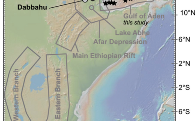 Volatiles and Redox Along the East African Rift