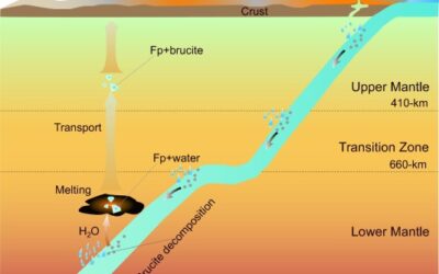 Stability and physical properties of brucite at high pressures and temperatures: Implication for Earth’s deep water cycle