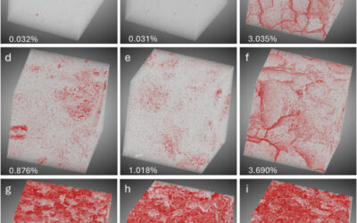 The role of annealing and grain boundary controls on the mechanical properties of limestones and marbles