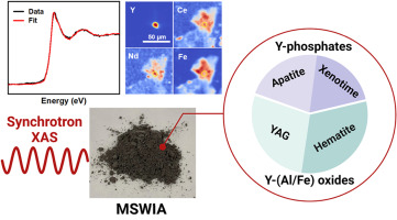 Rare earth element (REE) speciation in municipal solid waste incineration ash