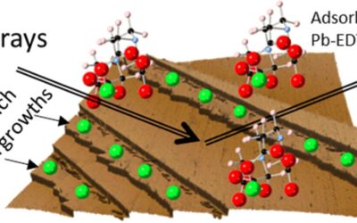 Lead Adsorption and Desorption at the Barite (001) Surface in the Presence of EDTA