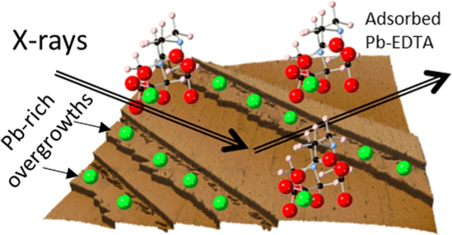 Lead Adsorption and Desorption at the Barite (001) Surface in the Presence of EDTA