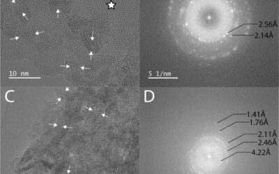 Nanoscale Analyses of X‑ray Amorphous Material from Terrestrial Ultramafic Soils Record Signatures of Environmental Conditions Useful for Interpreting Past Martian Conditions