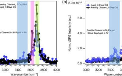 Carbonation of MgO Single Crystals: Implications for Direct Air Capture of CO2