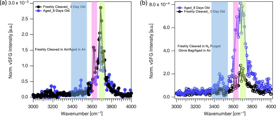 Carbonation of MgO Single Crystals: Implications for Direct Air Capture of CO2