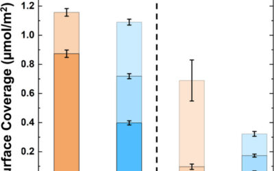 Complex Adsorption Behavior of Neodymium and Ytterbium on Structurally-Distinct Alumina Surfaces