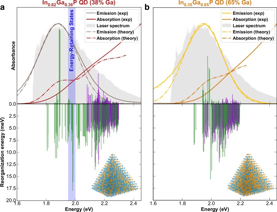 Exciton-phonon coupling and phonon-assisted exciton relaxation dynamics in In1-xGaxP quantum dots