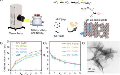 Photochemically Induced Co-oxidation of Aqueous Manganese and Cobalt and the Formation of Cobalt-Incorporated Manganese Oxides