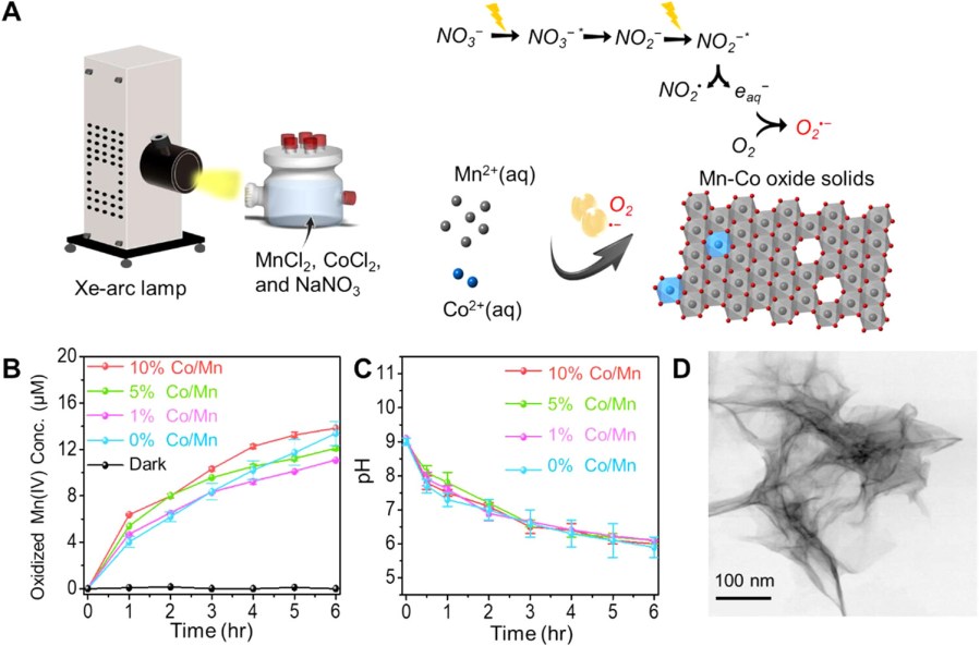 Photochemically Induced Co-oxidation of Aqueous Manganese and Cobalt and the Formation of Cobalt-Incorporated Manganese Oxides