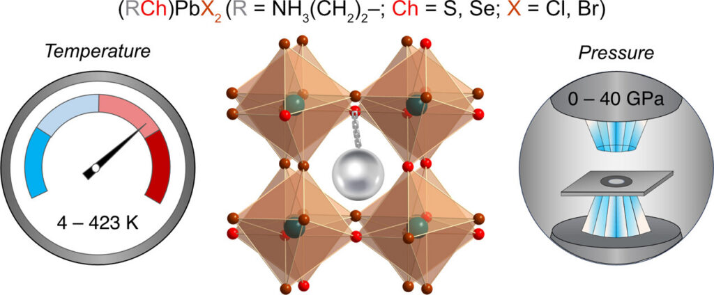 Suppressing Phase Transitions and High-Pressure Amorphization through Tethered Organic Cations in Organochalcogenide-Halide Perovskites