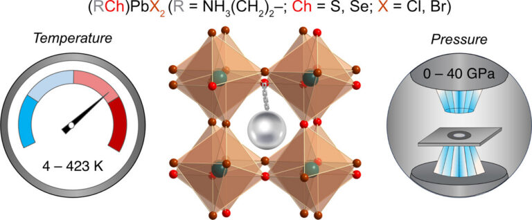 Suppressing Phase Transitions and High-Pressure Amorphization through Tethered Organic Cations in Organochalcogenide-Halide Perovskites