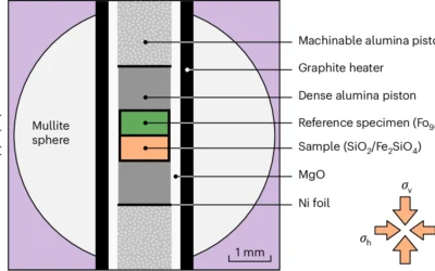 Direct observations of transient weakening during phase transformations in quartz and olivine