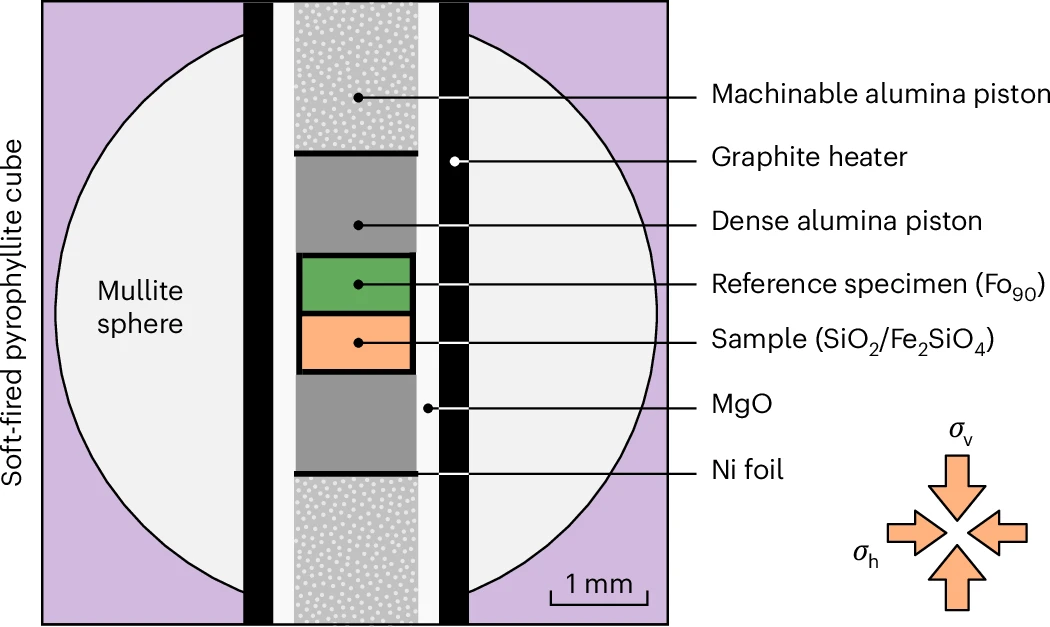 Direct observations of transient weakening during phase transformations in quartz and olivine