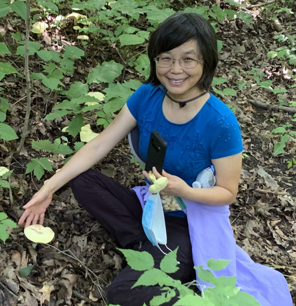 Haiyan Chen